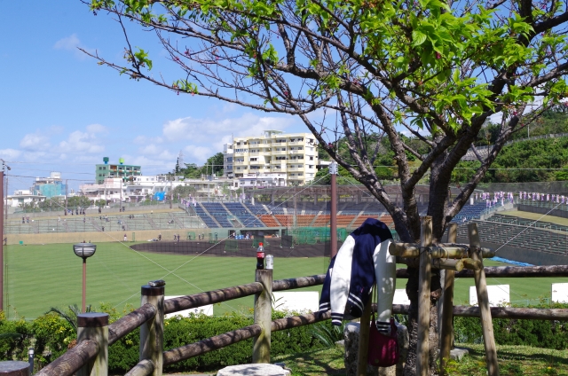 2020年 沖縄本島 プロ野球春季キャンプの試合情報