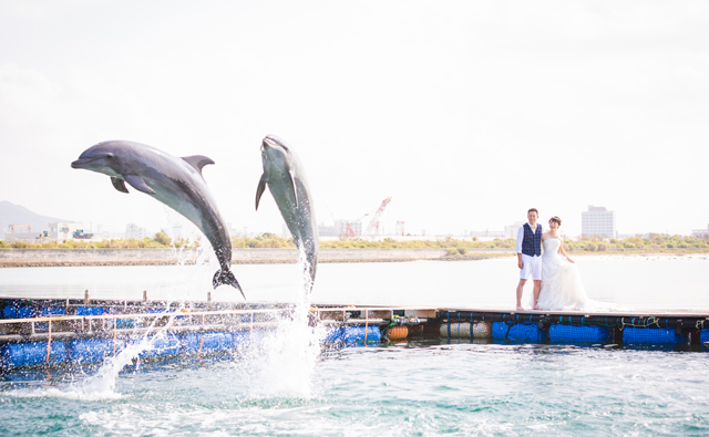 イルカと一緒にフォトウェディング｜沖縄ウェディングオンライン